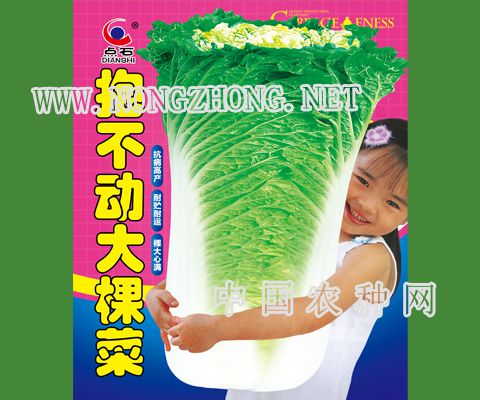 抱不动大棵菜